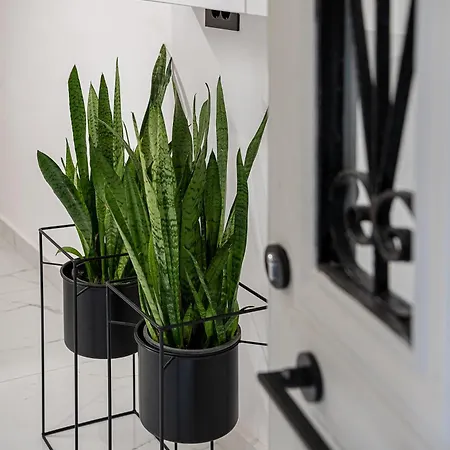 Porto Vecchio Chania (Crete)