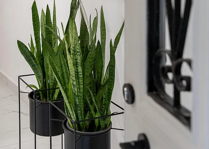 Porto Vecchio Chania (Crete)