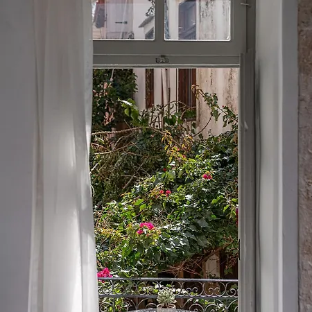 Porto Vecchio אורחן
