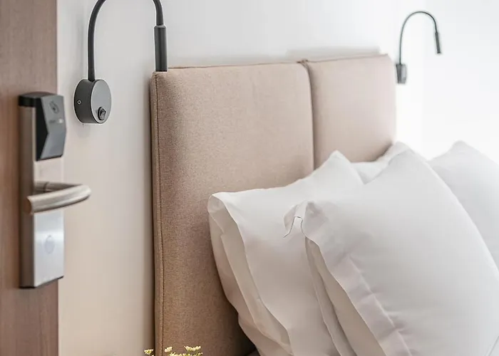 Porto Vecchio 干尼亞